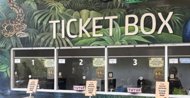 Bandung Zoo Ditutup, Satwa Terancam dan Pengunjung Terdampak