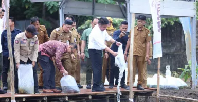 Sumsel Pelopor Inovasi Ketahanan Pangan, GSMP Terus Berkembang dan Ditiru Daerah Lain