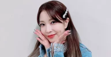 BoA Harus Operasi, 2 Konser Tunggal Batal