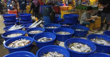 PIM Muara Baru, Tempat Belanja Seafood Murah untuk Rayakan Nataru
