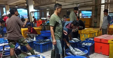 Laris Manis, 230 Ribu Ton Ikan disiapkan KKP untuk Tahun Baru