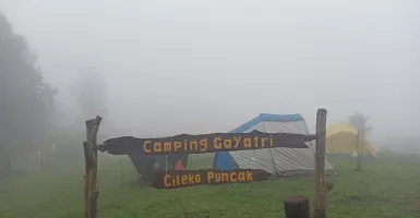 Camping Gayatri Puncak Bogor, Cocok Liburan Bersama Keluarga
