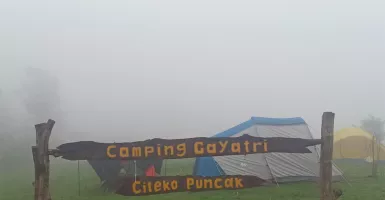 Glamping Seru di Camping Gayatri, Pemandangannya Bikin Takjub!