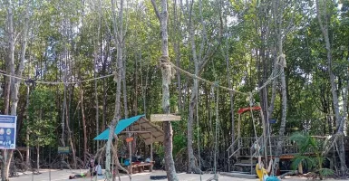 Pandang Tak Jemu, Ekowisata Hutan Mangrove di Batam