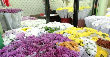 Penjualan Bunga di Pasar Rawa Belong Anjlok saat Hari Valentine