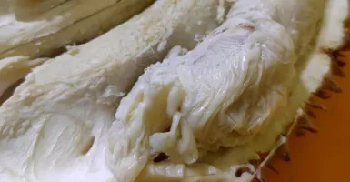 Tips Memilih Durian Matang dan Lezat, Dijamin Legit