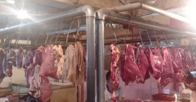 Pedagang di Depok Pilih Jual Daging Sapi Bali, Ini Keunggulannya