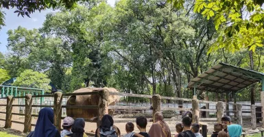 Warga Jakarta Masih Dominasi Pengunjung Taman Margasatwa Ragunan
