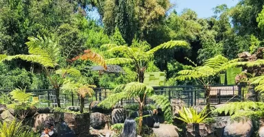 Libur Lebaran 2022, Lembang Park and Zoo Penuh Diserbu Wisatawan
