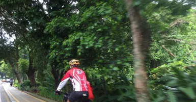 Trotoar Lingkar Kebun Raya, Tempat Olahraga Asyik di Bogor
