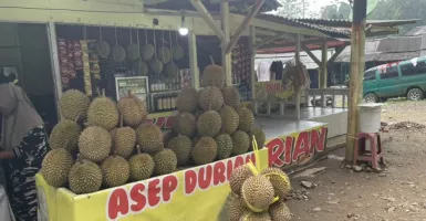 Pusat Durian Enak di Bandung, Ayo Segera ke Sana