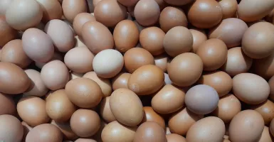 Harga Telur Melambung, Pedagang Kini Kehilangan Pembeli