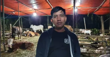 Wabah PMK Merebak, Penjual Hewan Kurban di Jaksel Tetap Cuan