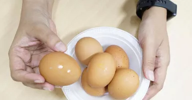 Dokter Spesialis Gizi Bagikan Tips Memilih Telur yang Masih Bagus