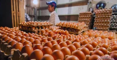 Manfaat Telur Rebus: Kesehatan Otak dan Turunkan Berat Badan