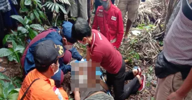 Tragis! Pria Karangasem Bali Tewas di Atas Pohon Kelapa