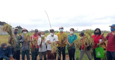 Bali Ramah Lingkungan, Dinas Pertanian Denpasar Gandeng ALC