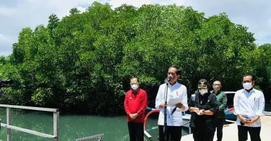 Puji Hutan Mangrove, Jokowi Minta Daerah Lain Contoh Bali