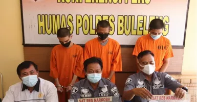 Gara-gara Tembakau Gorila Tiga Pria di Singaraja Ditangkap Polisi