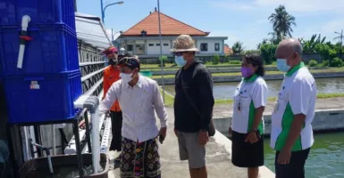 Canggih! Pemkab Klungkung Bali Ciptakan Pertanian Aquaponik