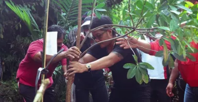 Proses Penghijauan Dilaksanakan Pemkab Badung Bali, Ini Tujuannya