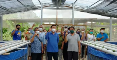 Anggota DPD Mangku Pastika: Petani Bali Harus Serius Bertani!