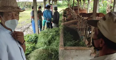DPD Mangku Pastika Sebut Petani Bali Sejahtera Imbas Simantri