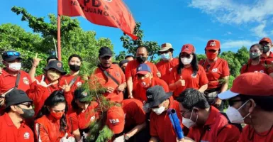 Selamatkan Pantai Sanur Bali, PDIP Lakukan Kegiatan Ini