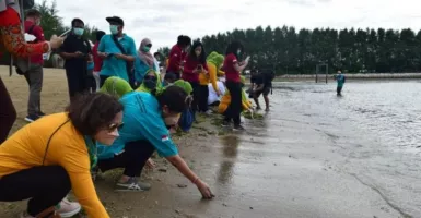 BKSDA Bali Usul Perda Larang Aktivitas di Tempat Penyu Bertelur