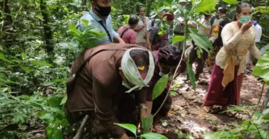 Imbas G20 di Bali, Masyarakat Desa Lemukih Menanam Pohon