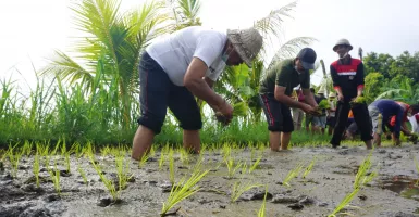 Pariwisata Terpuruk, Pemuda di Klungkung Diminta Garap Pertanian