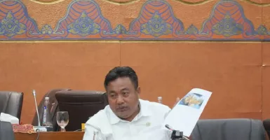 Banyak Kebangkrutan di Bali, Anggota DPR Parta Sentil Himbara