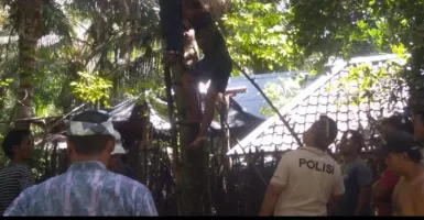 Pria Buleleng Bali Tewas Bunuh Diri, Polisi Ungkap Fakta Ini
