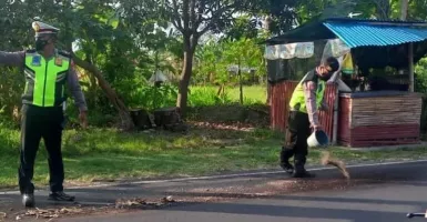 Viral Ceceran Oli Jalan Singaraja Gilimanuk Bali, Ini Aksi Polisi