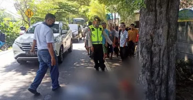 Petaka Kantuk, Pemotor di Buleleng Bali Tewas Tabrak Pohon Asem