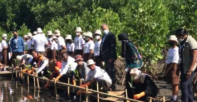 Cegah Abrasi Pantai, Menko PMK Pantau Tanam Pohon Bakau di Bali