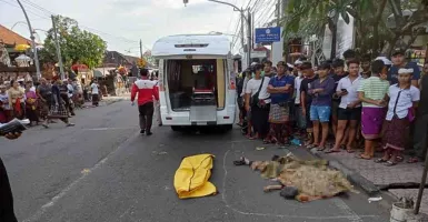 Kecelakaan Badung Bali, Ibu-ibu Tewas Diseruduk Grand Vitara