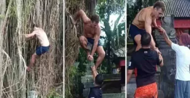 Viral Panjat Pohon Sakral, Bule Australia 'Diusir' Imigrasi Bali