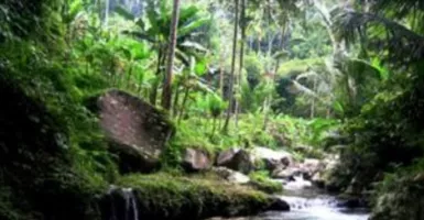 Lembah Sungai Petanu-Pakiresan Punya Jejak Peradaban Manusia Bali