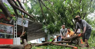 Peringatan BMKG: Hujan Angin, Prakiraan Cuaca Bali Hari Ini