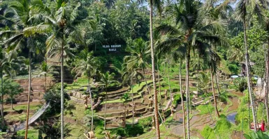 Indonesia Bangga! Ubud Bali Destinasi Terbaik Nomor 6 Dunia