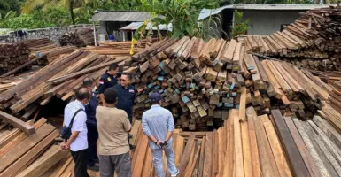 Jelang G20, Proyek Mangrove Tahura Bali Pakai Kayu Sitaan