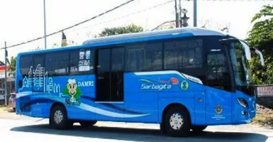 Kadishub Bali Beber Ini, Subsidi Bus Trans Sarbagita Tipis?