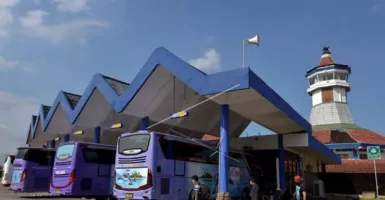 Jadwal Bus Denpasar-Surabaya Besok, 4 April 2023, Segera Pesan