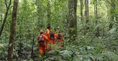 Pekak Satra Hilang di Hutan Tabanan, Tim SAR Bali Lakukan Ini