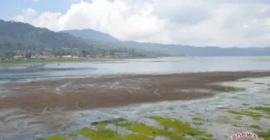 Bali Segera Masuk Puncak Kemarau, BPBD Imbau Warga Cadangkan Air
