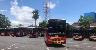 Libur Lebaran, Pengelola Trans Metro Dewata Siapkan Bus, Monkey Forest Favorit Turis