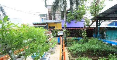 Eksplorasi Kampung Palm Eco Green Village Malang, Makin Asri Berkat Program BRInita