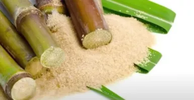 Gula Batu Lebih Sehat Dibanding Gula Pasir? Simak Fakta Ini