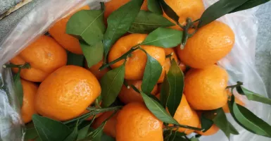 Tak Banyak yang Tahu, Khasiat Luar Biasa dari Jeruk Mandarin